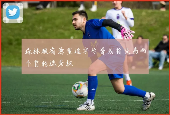 森林狼有意重追字母哥或将交易两个首轮选秀权