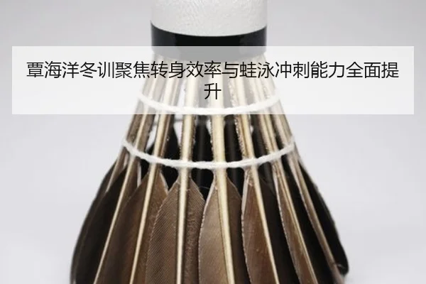 覃海洋冬训聚焦转身效率与蛙泳冲刺能力全面提升 - hthsports